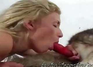 Dyr sett få et hode