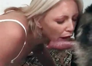 Horny dog gets a BJ from a blonde
