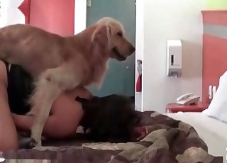 Big doggie enjoying her holder