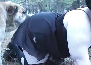 Insane animal sex with a dog