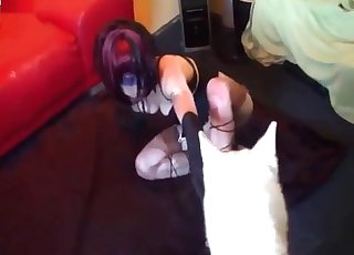 Rabid big dog fucks a girl