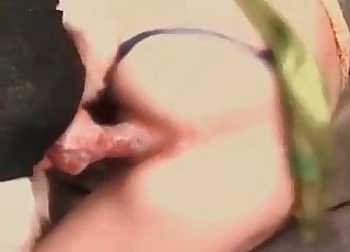 Riesiger Hund beim Sex vor der Webcam