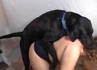 Black beast screwing her holes