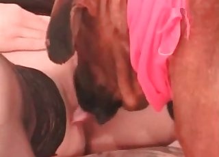 Juicy tight hole eaten by a mutt