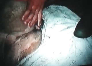 Cum-filled cock-squeezing animal hole