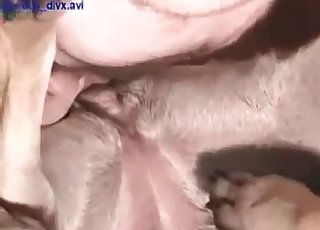 Anal lovemaking with a horny hunter