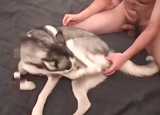 Fucking cute doggie in the ass