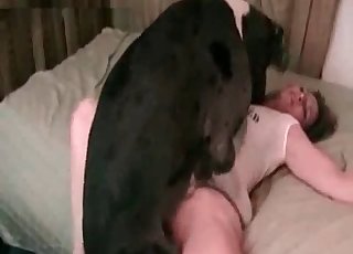 Her labia fucked by a big dog