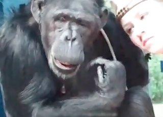 Foot fetish activity with a monkey