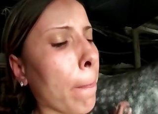 Loose pussy ready for horse cock