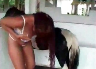 Great sex between a pony and a girl