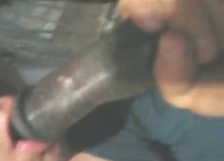 Zoophile gets horse sperm