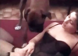 Mouth-watering snatch ate by a doggie