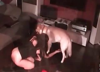 Dog blows a load into her puss