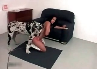 Cur railing a zoophile slut