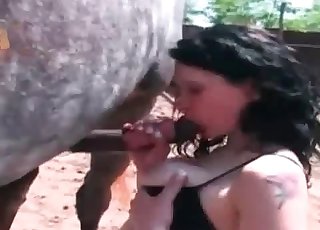 Amazing zoo porn movie