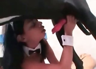 Dog gets this sweet Asian cunny