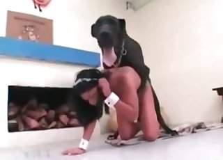 Dog gets this sweet Asian cunny