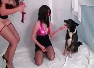 Slut fucks an innocent doggie