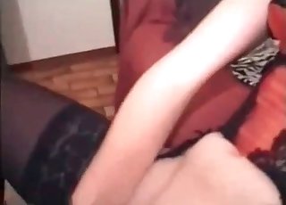 Dog loves her owner’s pantyhose