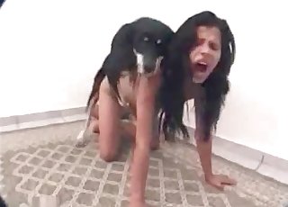 Babe is getting screwed by a dog