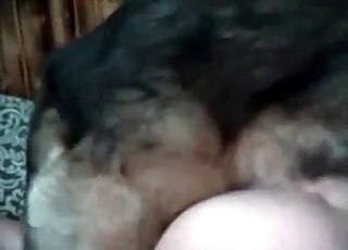 Mutt fucks real good on cam