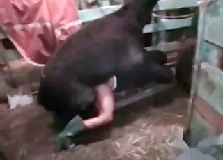 She loves banging sheep