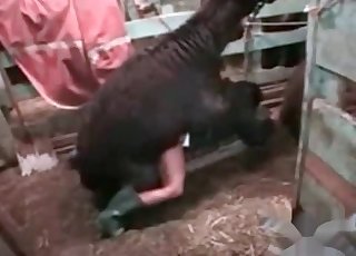 She loves banging sheep