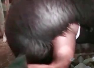 Miluje šukání ovcí