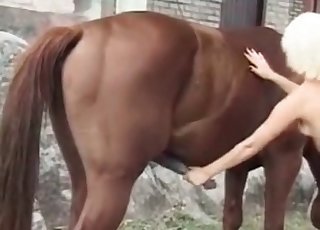 Willyjev mali dobi zadovoljstvo