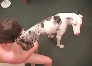 Exploring this hot, spotted brute