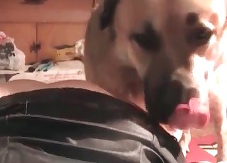 Dog-loving whore gets it