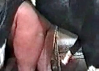 ไอ้อ้วนโดนม้ารุมกระทืบ