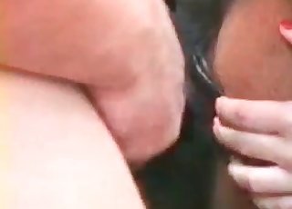 Zoophile impales his sexy horse