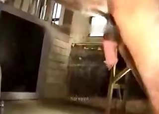 Glamorous jockey and horny pony