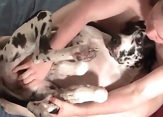 Spotted doggy is enjoying a dick