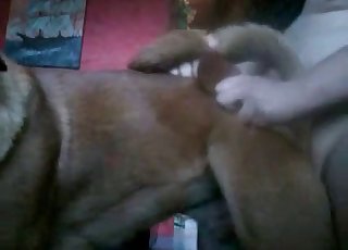 Ja, jeg kan knulle min egen hund