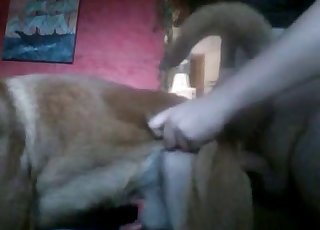 是的，我可以操我自己的狗