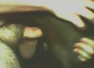 My mutt swallows a huge wiener