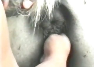 Family couple in the bestial action