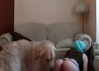 Meztelen pózol egy kutya előtt