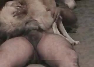 Seksowny pies jeździ na gorącym penisie tego faceta