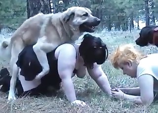 Two fat Mummies and two dogs