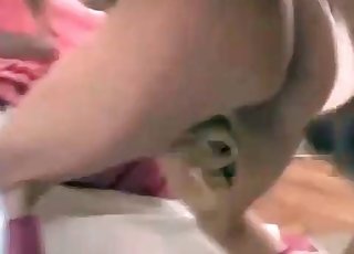 Zoophile is moaning in the bedroom