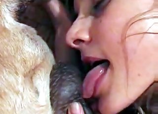 Animal fuck-a-thon is my dirty passion