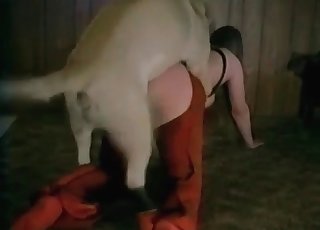 Mutt romps her obese cabooses