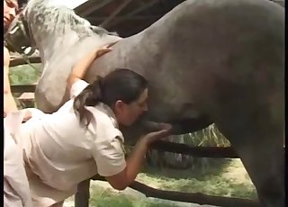 黑发女郎热情地为一匹大阴茎马口交