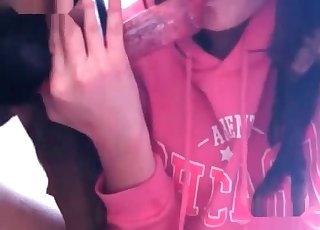 Brutish dog pounded a wide opened gullet