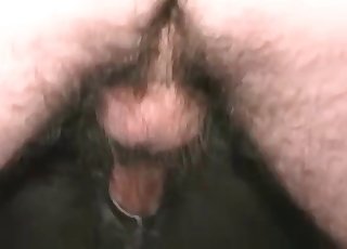 Black animal is ready for orgy