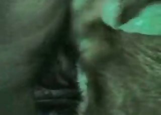 Blowjob provided by a mutt